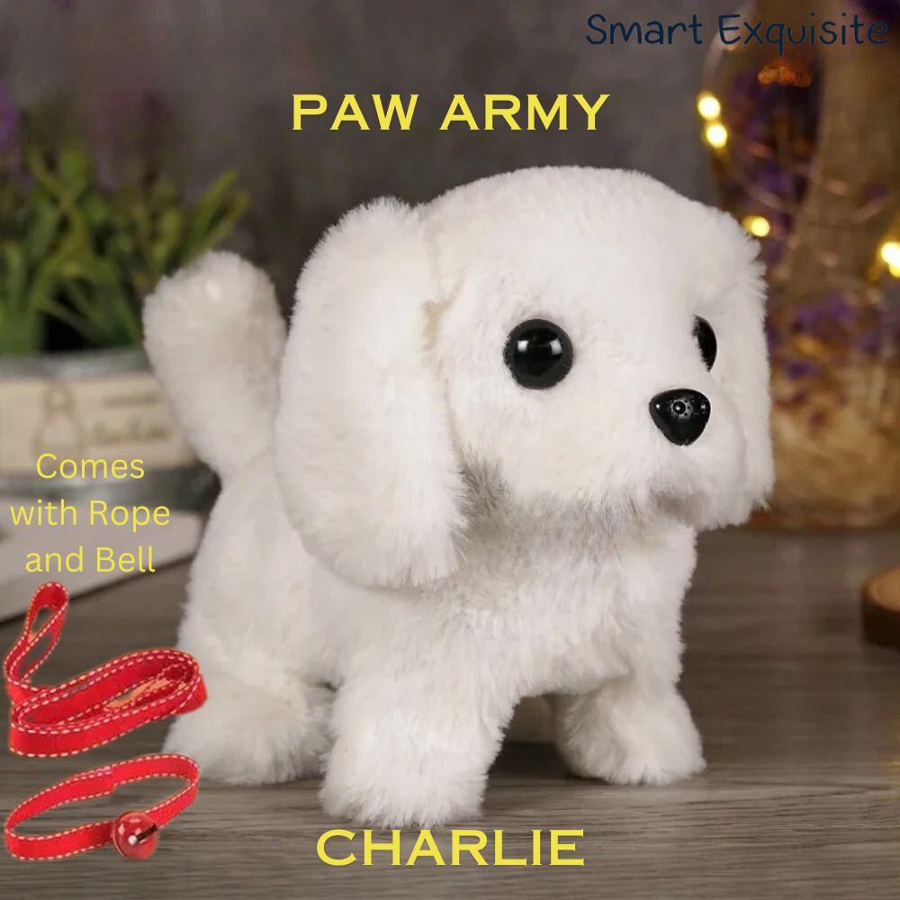 Paw Army - Your Baby’s New Tummy Time PAW Friends