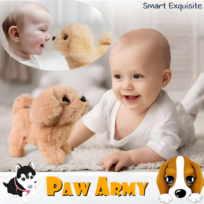 Paw Army - Your Baby’s New Tummy Time PAW Friends