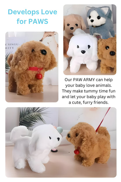 Paw Army - Your Baby’s New Tummy Time PAW Friends