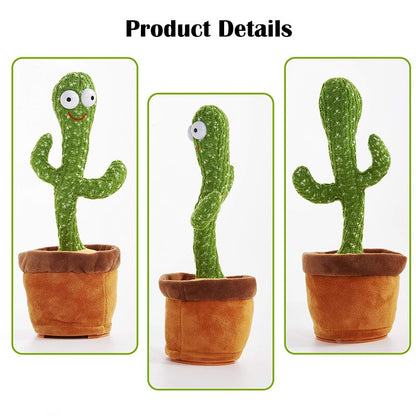 Dancing Cactus